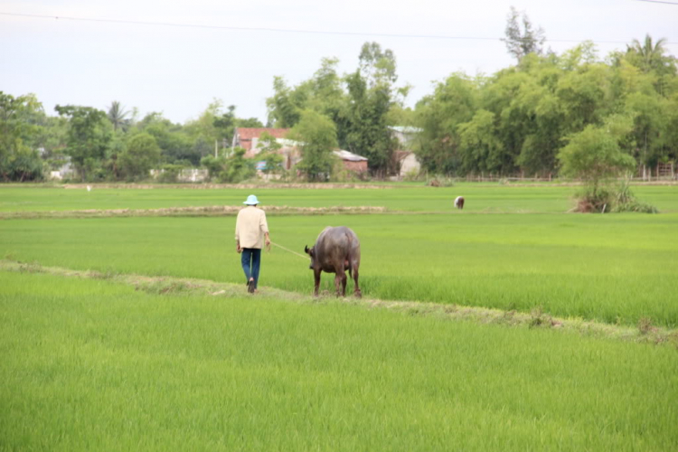 MỘT LẦN XUYÊN VIỆT