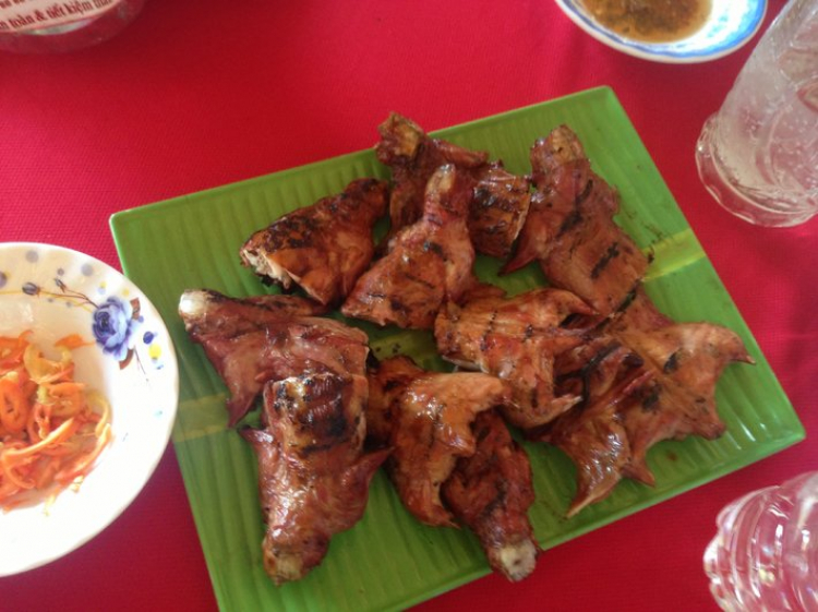 Chương trình hè về Tràm Chim - Đồng tháp 2014. Chương trình hè về Tràm Chim - Đồng tháp 2014.