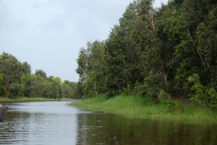 Chương trình hè về Tràm Chim - Đồng tháp 2014.