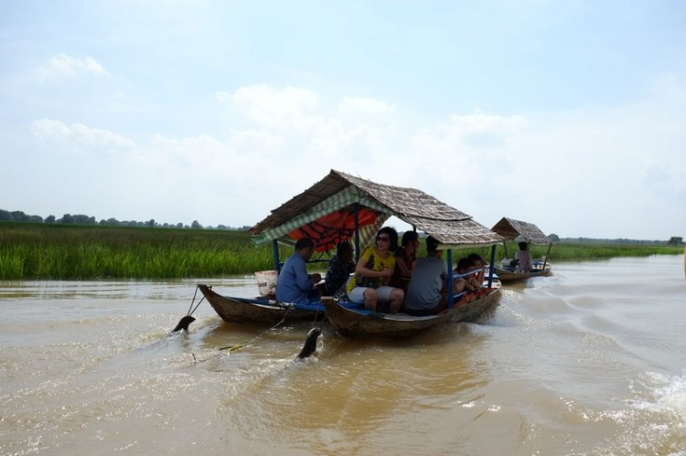 Chương trình hè về Tràm Chim - Đồng tháp 2014.