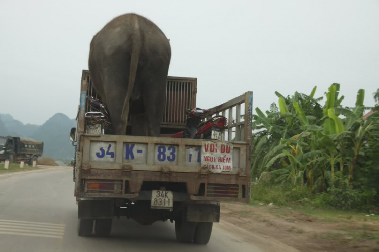 HÀNH TRÌNH "HỘI NGỘ 3 MIỀN" CỦA MBFC 14/7/2011