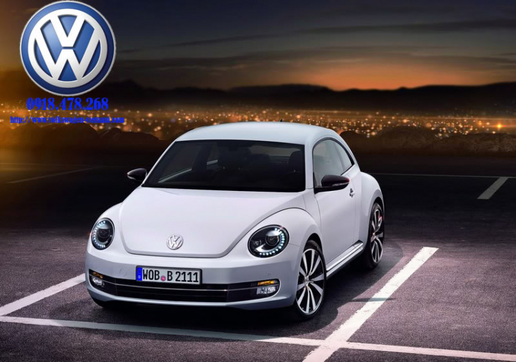 Volkswagen New Beetle 2012