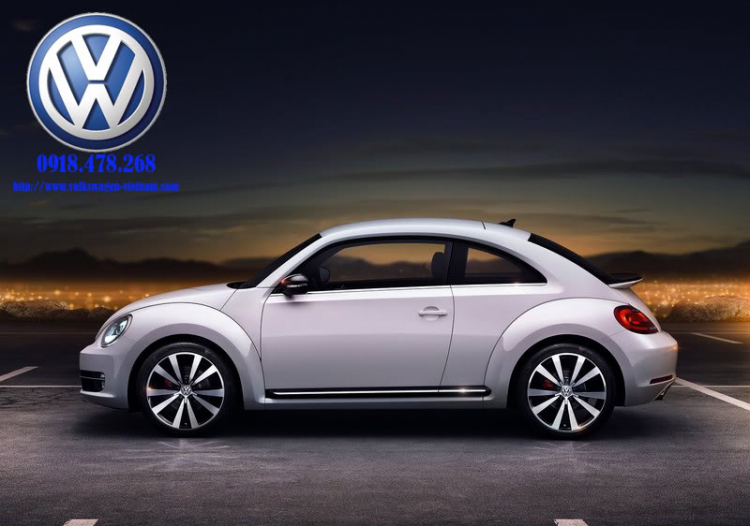 Volkswagen New Beetle 2012