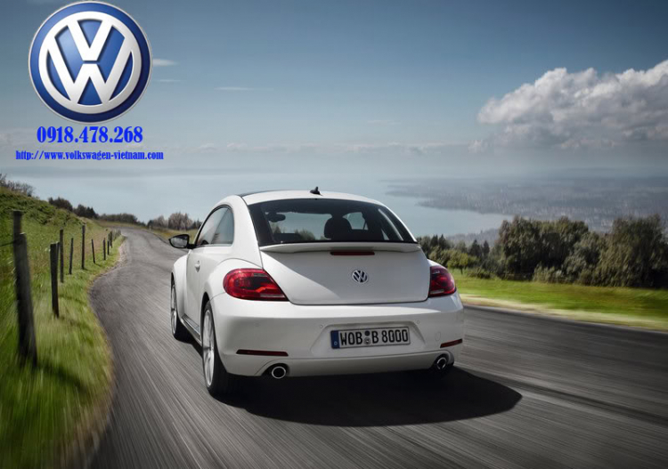 Volkswagen New Beetle 2012