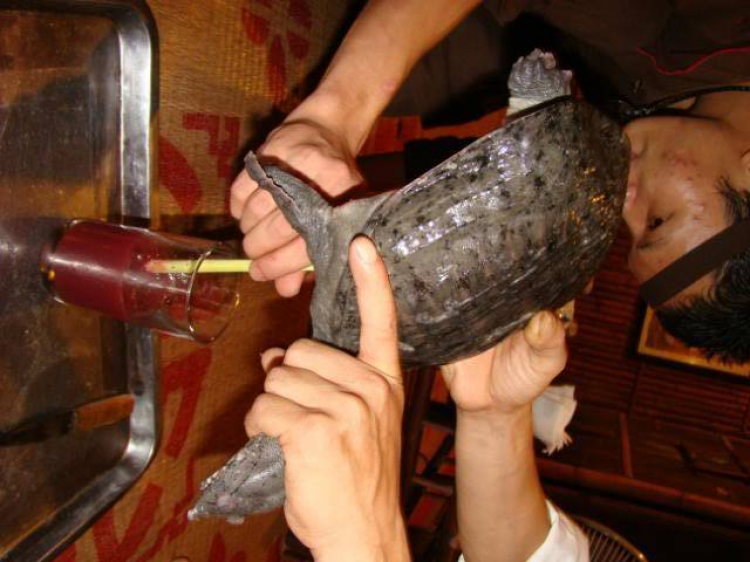 Ăn vặt ở Sài Gòn, làm sao cho "đã"? Ăn vặt ở Sài Gòn, làm sao cho "đã"?