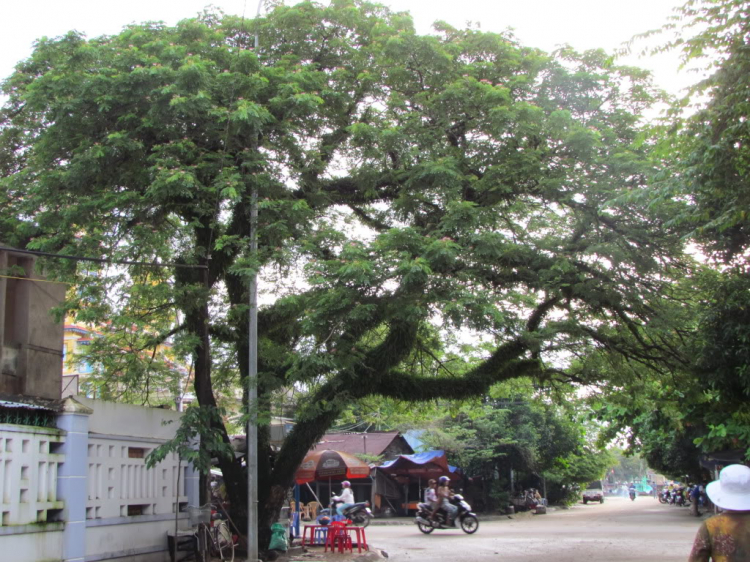 HÀNH TRÌNH ĐẾN PHÚ QUỐC - ĐẢO NGỌC THANH BÌNH