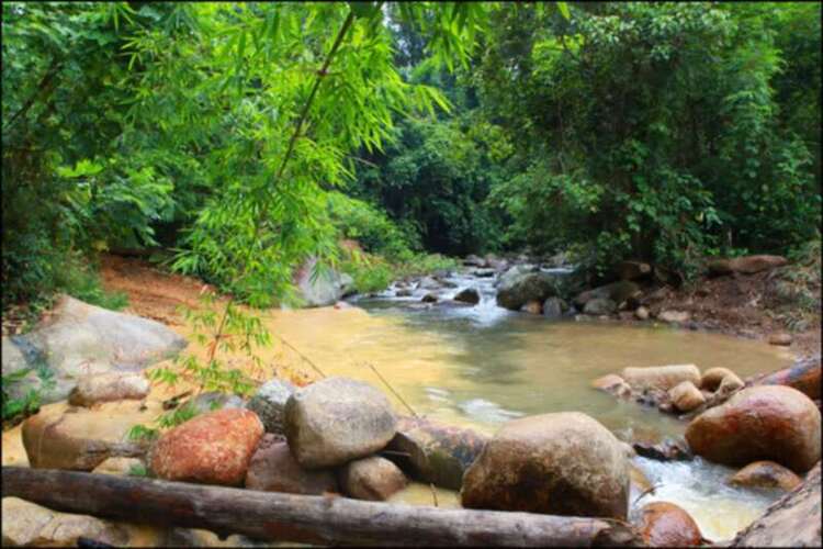 3 NGÀY, 2 ĐÊM HÀNH XÁC TRÊN ĐƯỜNG RỪNG TỪ DI LINH XUỐNG PHAN THIẾT!