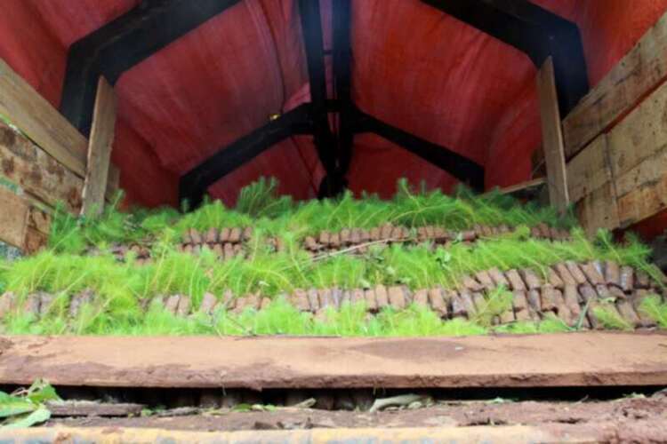 3 NGÀY, 2 ĐÊM HÀNH XÁC TRÊN ĐƯỜNG RỪNG TỪ DI LINH XUỐNG PHAN THIẾT! 3 NGÀY, 2 ĐÊM HÀNH XÁC TRÊN ĐƯỜNG RỪNG TỪ DI LINH XUỐNG PHAN THIẾT!
