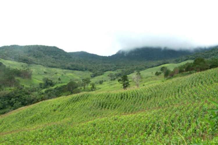 3 NGÀY, 2 ĐÊM HÀNH XÁC TRÊN ĐƯỜNG RỪNG TỪ DI LINH XUỐNG PHAN THIẾT! 3 NGÀY, 2 ĐÊM HÀNH XÁC TRÊN ĐƯỜNG RỪNG TỪ DI LINH XUỐNG PHAN THIẾT!