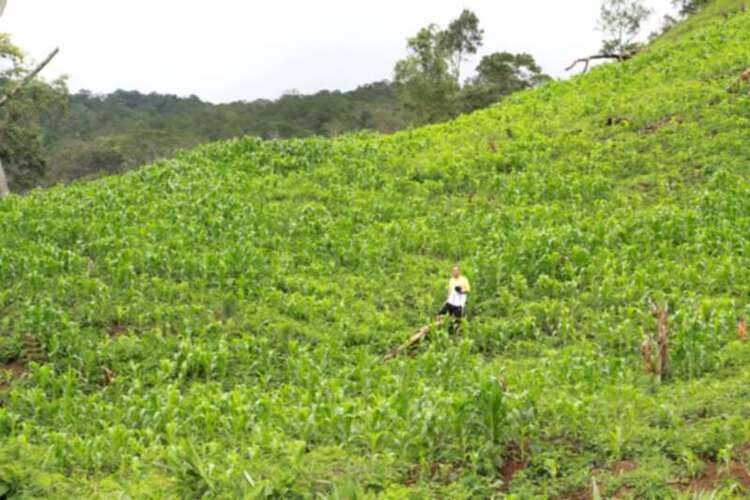 3 NGÀY, 2 ĐÊM HÀNH XÁC TRÊN ĐƯỜNG RỪNG TỪ DI LINH XUỐNG PHAN THIẾT!