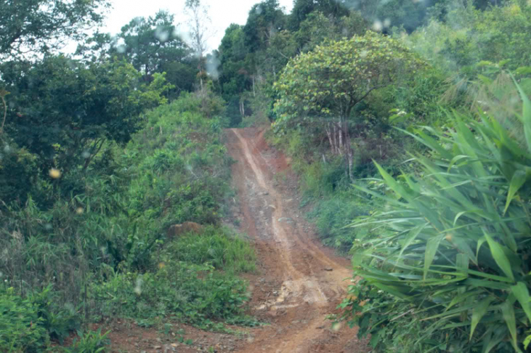 3 NGÀY, 2 ĐÊM HÀNH XÁC TRÊN ĐƯỜNG RỪNG TỪ DI LINH XUỐNG PHAN THIẾT!