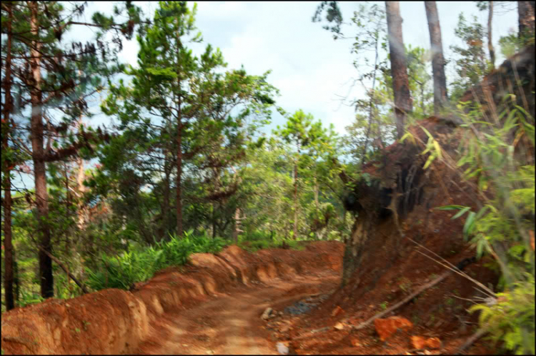 3 NGÀY, 2 ĐÊM HÀNH XÁC TRÊN ĐƯỜNG RỪNG TỪ DI LINH XUỐNG PHAN THIẾT! 3 NGÀY, 2 ĐÊM HÀNH XÁC TRÊN ĐƯỜNG RỪNG TỪ DI LINH XUỐNG PHAN THIẾT!