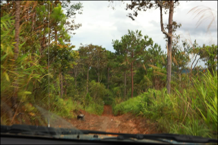 3 NGÀY, 2 ĐÊM HÀNH XÁC TRÊN ĐƯỜNG RỪNG TỪ DI LINH XUỐNG PHAN THIẾT! 3 NGÀY, 2 ĐÊM HÀNH XÁC TRÊN ĐƯỜNG RỪNG TỪ DI LINH XUỐNG PHAN THIẾT!