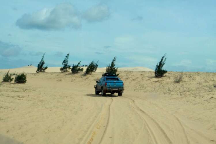 3 NGÀY, 2 ĐÊM HÀNH XÁC TRÊN ĐƯỜNG RỪNG TỪ DI LINH XUỐNG PHAN THIẾT! 3 NGÀY, 2 ĐÊM HÀNH XÁC TRÊN ĐƯỜNG RỪNG TỪ DI LINH XUỐNG PHAN THIẾT!