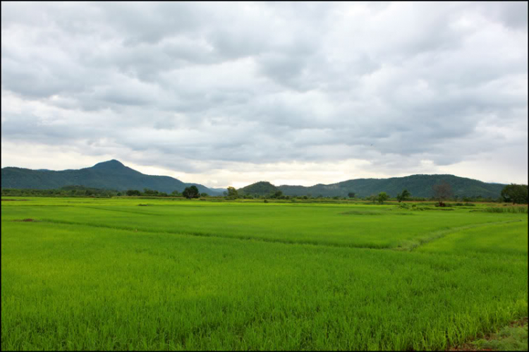 3 NGÀY, 2 ĐÊM HÀNH XÁC TRÊN ĐƯỜNG RỪNG TỪ DI LINH XUỐNG PHAN THIẾT!