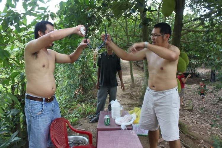 POST MẤY CÁI HÌNH THAM QUAN BẾN TRE, HÂM NÓNG TÍ NÀO (đã có hàng trang 2) POST MẤY CÁI HÌNH THAM QUAN BẾN TRE, HÂM NÓNG TÍ NÀO (đã có hàng trang 2)