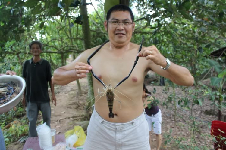 POST MẤY CÁI HÌNH THAM QUAN BẾN TRE, HÂM NÓNG TÍ NÀO (đã có hàng trang 2) POST MẤY CÁI HÌNH THAM QUAN BẾN TRE, HÂM NÓNG TÍ NÀO (đã có hàng trang 2)
