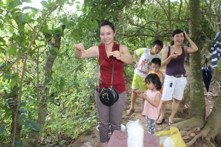 POST MẤY CÁI HÌNH THAM QUAN BẾN TRE, HÂM NÓNG TÍ NÀO (đã có hàng trang 2)