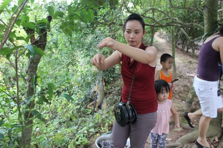 POST MẤY CÁI HÌNH THAM QUAN BẾN TRE, HÂM NÓNG TÍ NÀO (đã có hàng trang 2) POST MẤY CÁI HÌNH THAM QUAN BẾN TRE, HÂM NÓNG TÍ NÀO (đã có hàng trang 2)