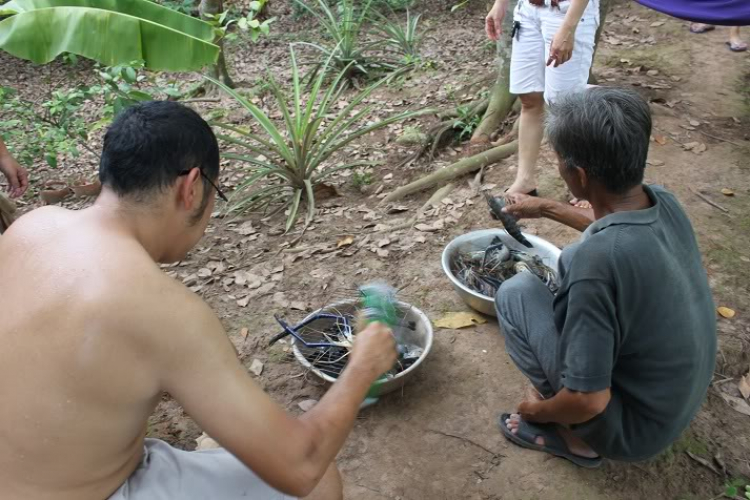 POST MẤY CÁI HÌNH THAM QUAN BẾN TRE, HÂM NÓNG TÍ NÀO (đã có hàng trang 2)