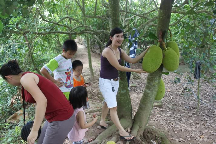 POST MẤY CÁI HÌNH THAM QUAN BẾN TRE, HÂM NÓNG TÍ NÀO (đã có hàng trang 2)