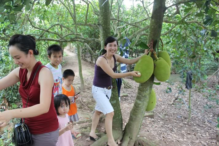 POST MẤY CÁI HÌNH THAM QUAN BẾN TRE, HÂM NÓNG TÍ NÀO (đã có hàng trang 2)