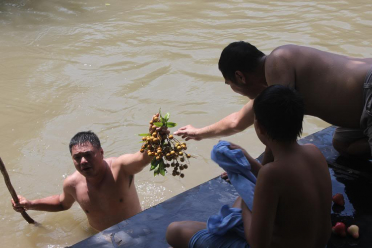 POST MẤY CÁI HÌNH THAM QUAN BẾN TRE, HÂM NÓNG TÍ NÀO (đã có hàng trang 2)