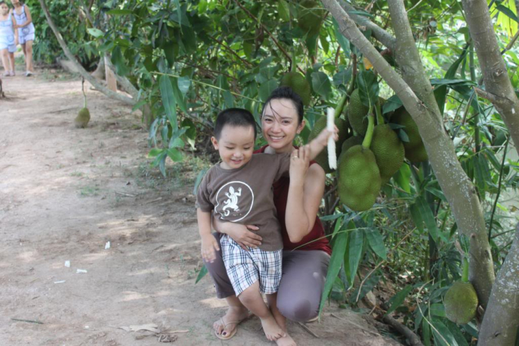 POST MẤY CÁI HÌNH THAM QUAN BẾN TRE, HÂM NÓNG TÍ NÀO (đã có hàng trang 2)