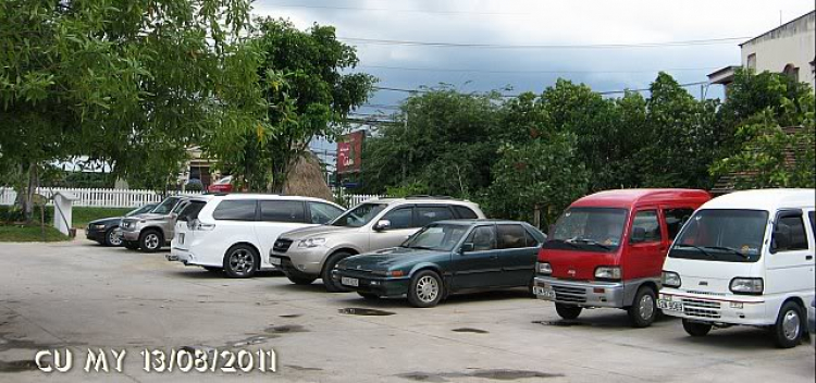 Hình ảnh off Bò Củ Chi ngày 13-8. Hình ảnh off Bò Củ Chi ngày 13-8.