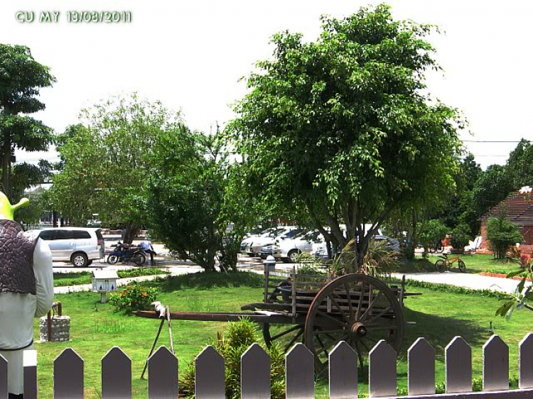 Hình ảnh off Bò Củ Chi ngày 13-8. Hình ảnh off Bò Củ Chi ngày 13-8.