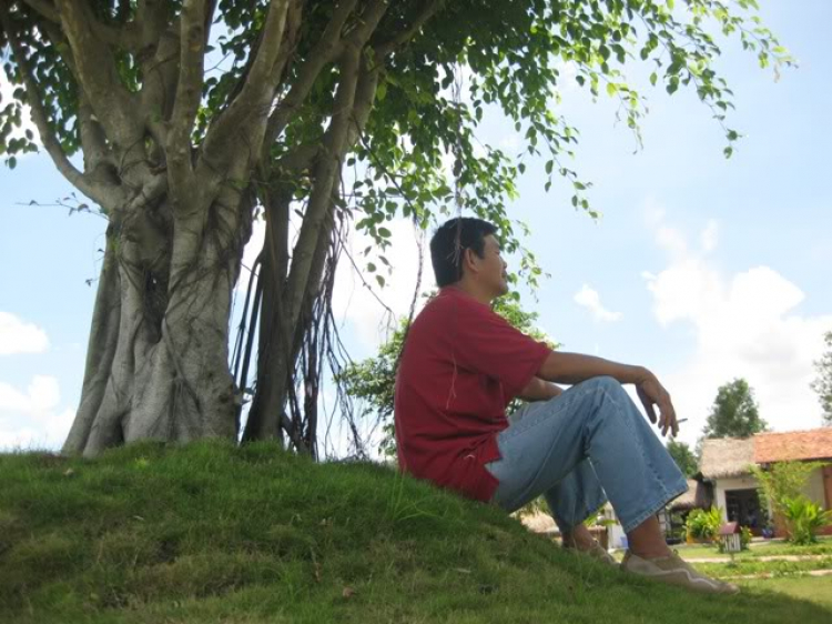 Hình ảnh off Bò Củ Chi ngày 13-8. Hình ảnh off Bò Củ Chi ngày 13-8.