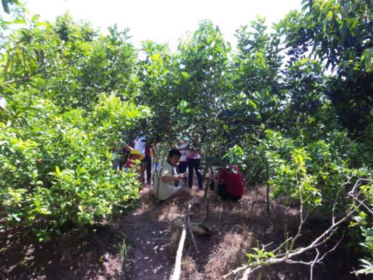 OFF Mini Sinh Thái Cái Bè-Tiền Giang (Lần 1)