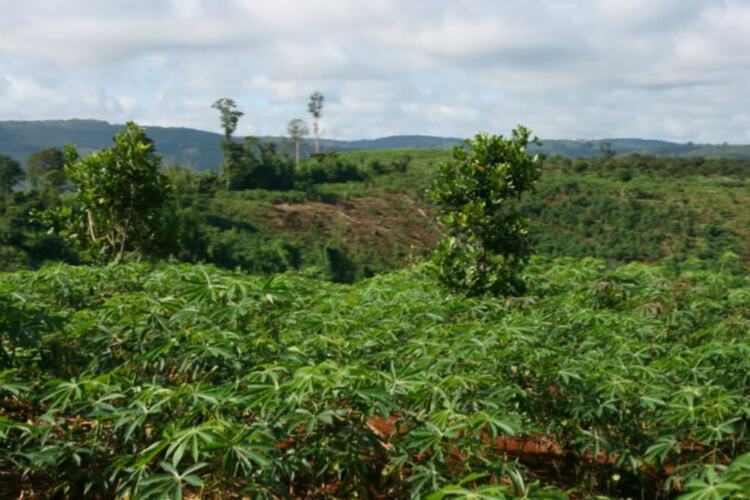 Daknong-Dakno Hành trình chinh phục đỉnh mùa đông hay cuộc hành xác của những kẻ khùng Daknong-Dakno Hành trình chinh phục đỉnh mùa đông hay cuộc hành xác của những kẻ khùng