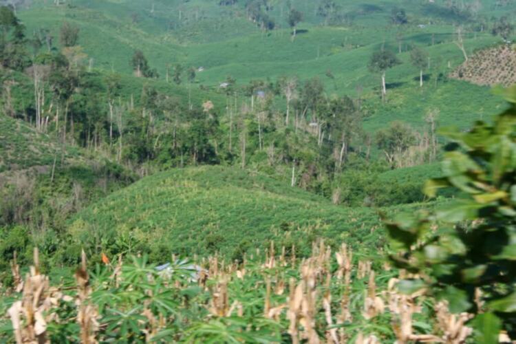 Daknong-Dakno Hành trình chinh phục đỉnh mùa đông hay cuộc hành xác của những kẻ khùng Daknong-Dakno Hành trình chinh phục đỉnh mùa đông hay cuộc hành xác của những kẻ khùng