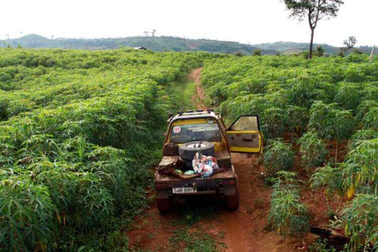 Daknong-Dakno Hành trình chinh phục đỉnh mùa đông hay cuộc hành xác của những kẻ khùng