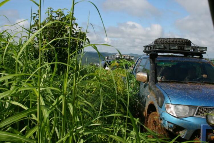 Daknong-Dakno Hành trình chinh phục đỉnh mùa đông hay cuộc hành xác của những kẻ khùng Daknong-Dakno Hành trình chinh phục đỉnh mùa đông hay cuộc hành xác của những kẻ khùng