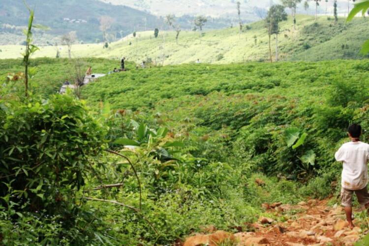 Daknong-Dakno Hành trình chinh phục đỉnh mùa đông hay cuộc hành xác của những kẻ khùng Daknong-Dakno Hành trình chinh phục đỉnh mùa đông hay cuộc hành xác của những kẻ khùng