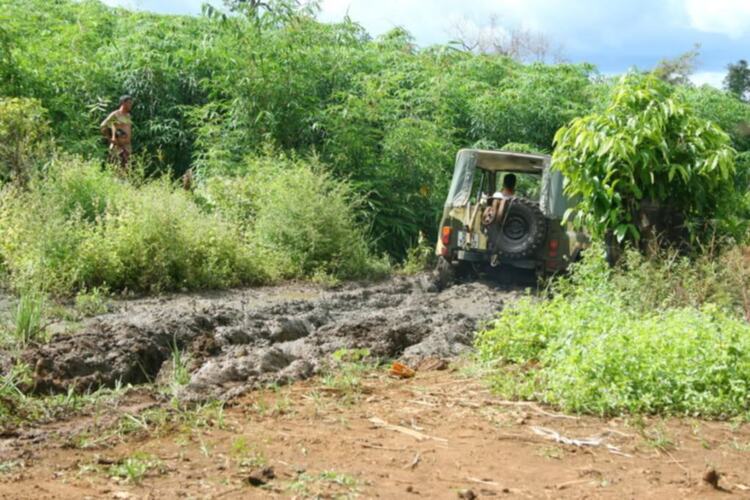 Daknong-Dakno Hành trình chinh phục đỉnh mùa đông hay cuộc hành xác của những kẻ khùng