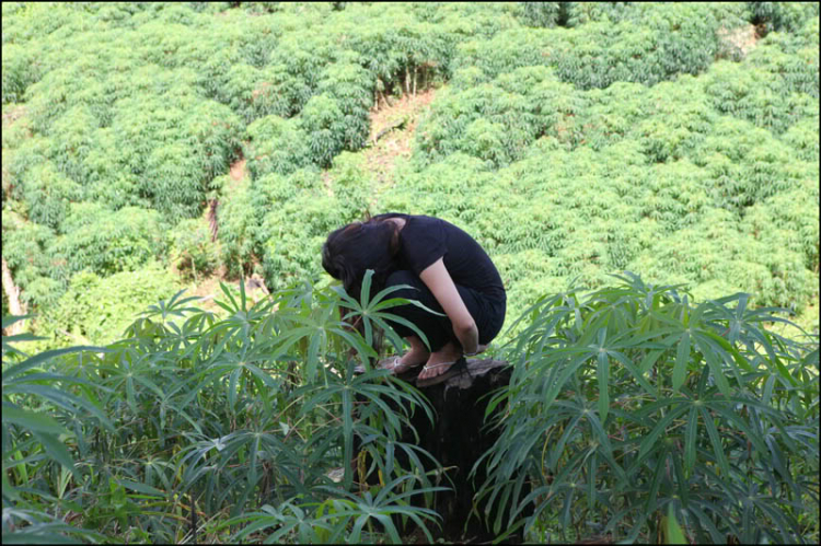 Daknong-Dakno Hành trình chinh phục đỉnh mùa đông hay cuộc hành xác của những kẻ khùng