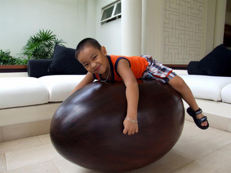 Chúc mừng sinh nhật mợ tài Chúc mừng sinh nhật mợ tài