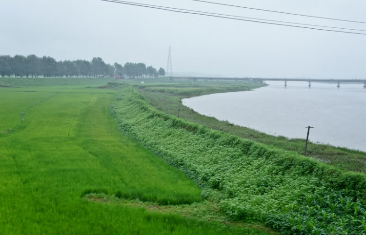 Bắc Triều Tiên: không tin vào nước mắt