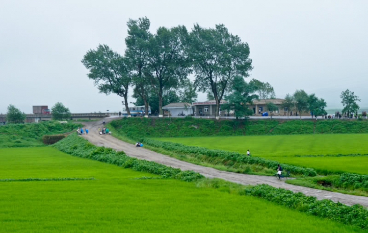 Bắc Triều Tiên: không tin vào nước mắt