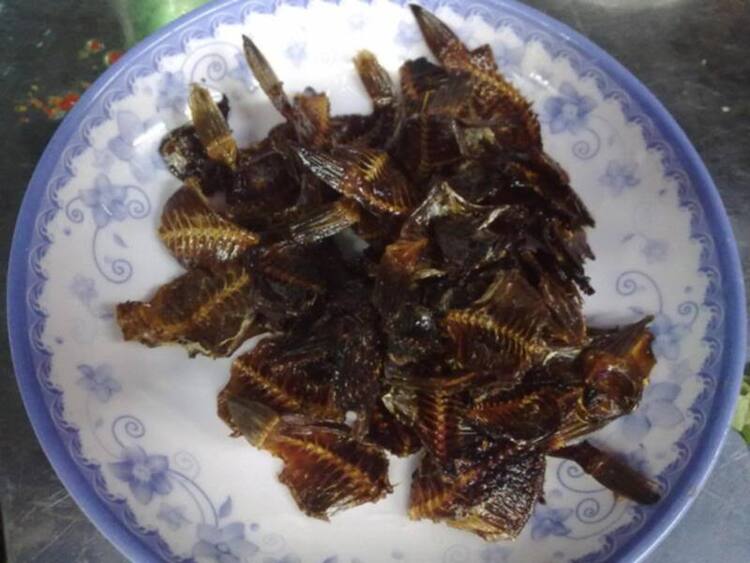 OSFI BTC ộp tân niên 4/2/2012 trang 1.