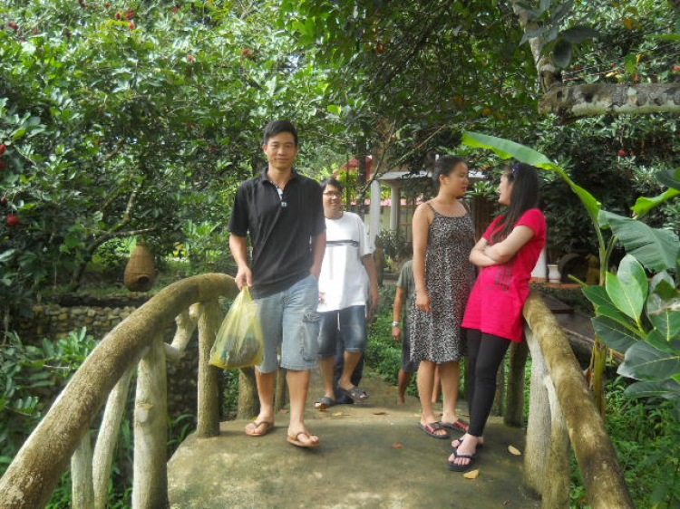 LO TRINH QUOC KHANH DAM' RI SAFARI CUA AE XE CO & XE CU ! LO TRINH QUOC KHANH DAM' RI SAFARI CUA AE XE CO & XE CU !