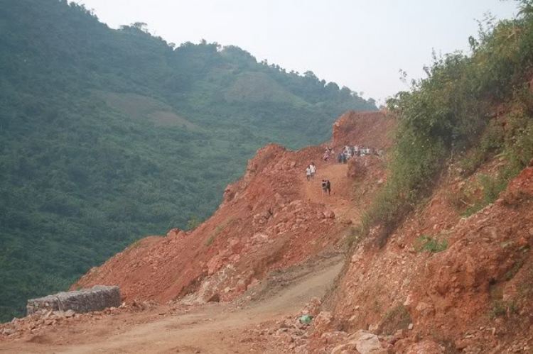 Cần Tìm Vitara