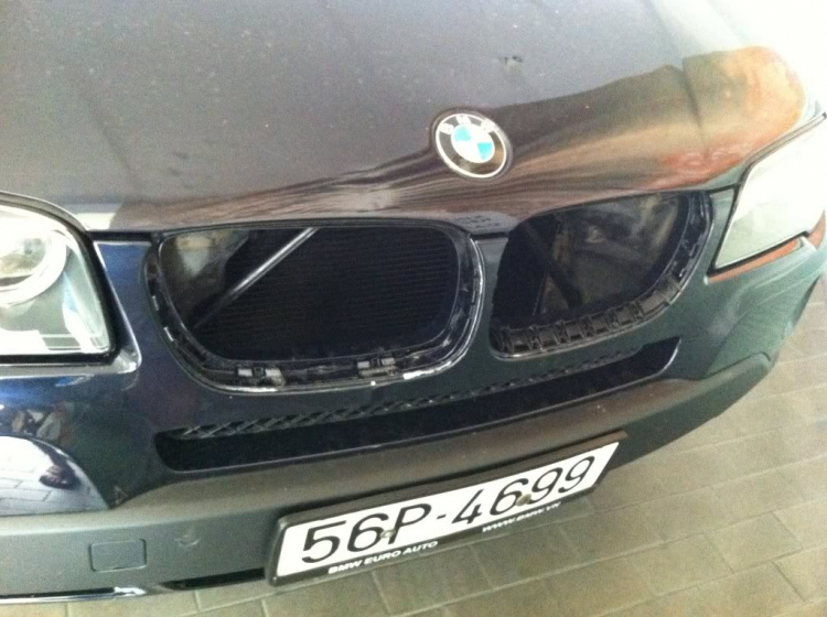 1 cách bảo vệ lỗ mũi BMW (grille)