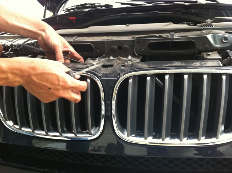 1 cách bảo vệ lỗ mũi BMW (grille)