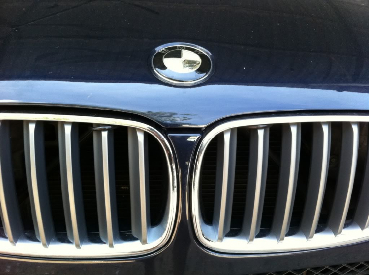 1 cách bảo vệ lỗ mũi BMW (grille)