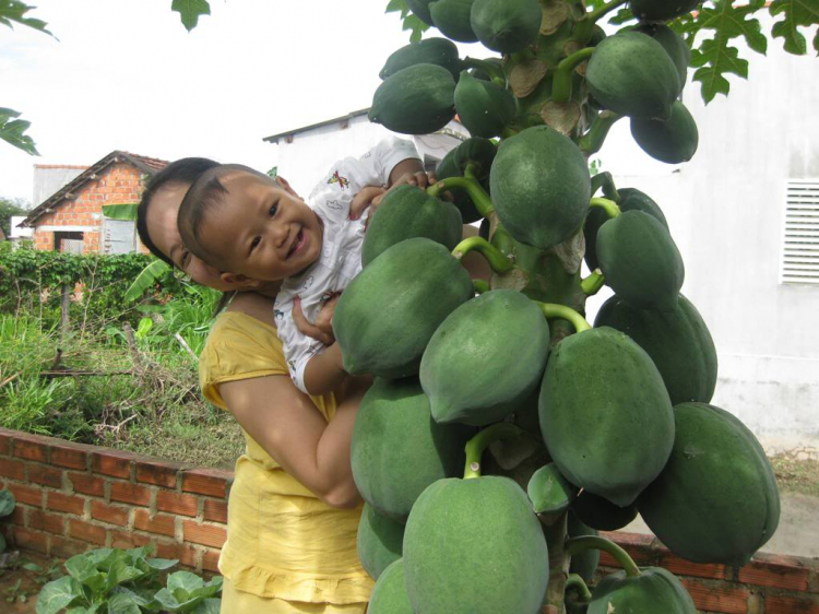 Báo cáo hành trình Sài gòn-Quy nhơn-Pleiku-Dakto-Ban mê thuộc-Sài gòn