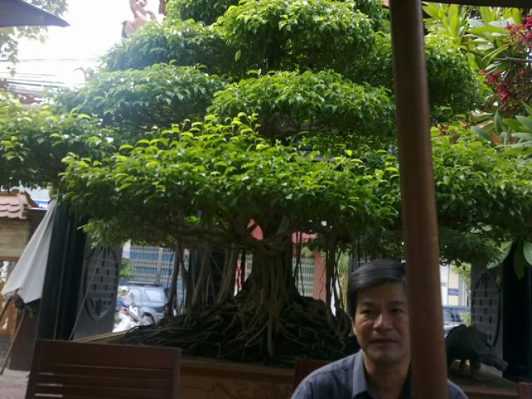 Báo cáo hành trình Sài gòn-Quy nhơn-Pleiku-Dakto-Ban mê thuộc-Sài gòn Báo cáo hành trình Sài gòn-Quy nhơn-Pleiku-Dakto-Ban mê thuộc-Sài gòn